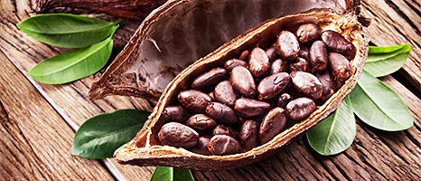 Kakao ekstrakt